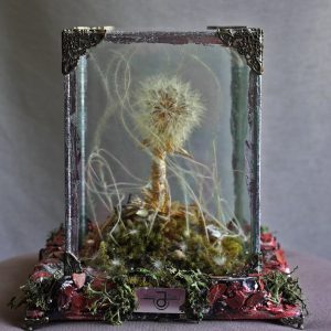 Dandelion seed lighting decor under glass domeDandelion Seed Lighting Decor