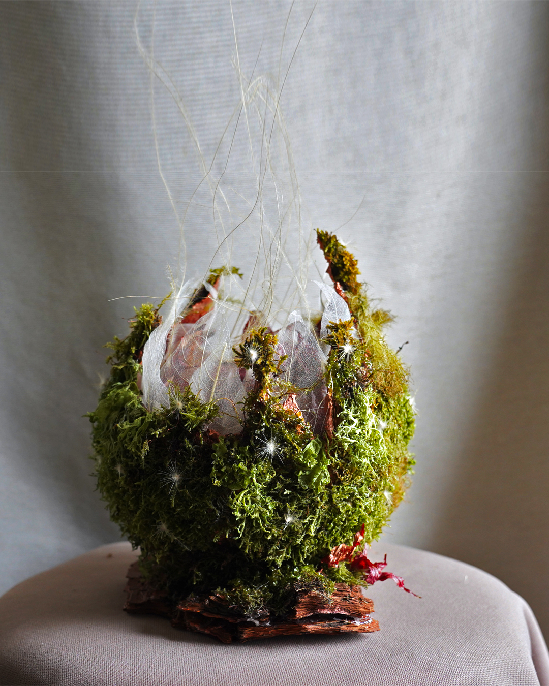 Stabilized moss and wood bark base of The Seed decor