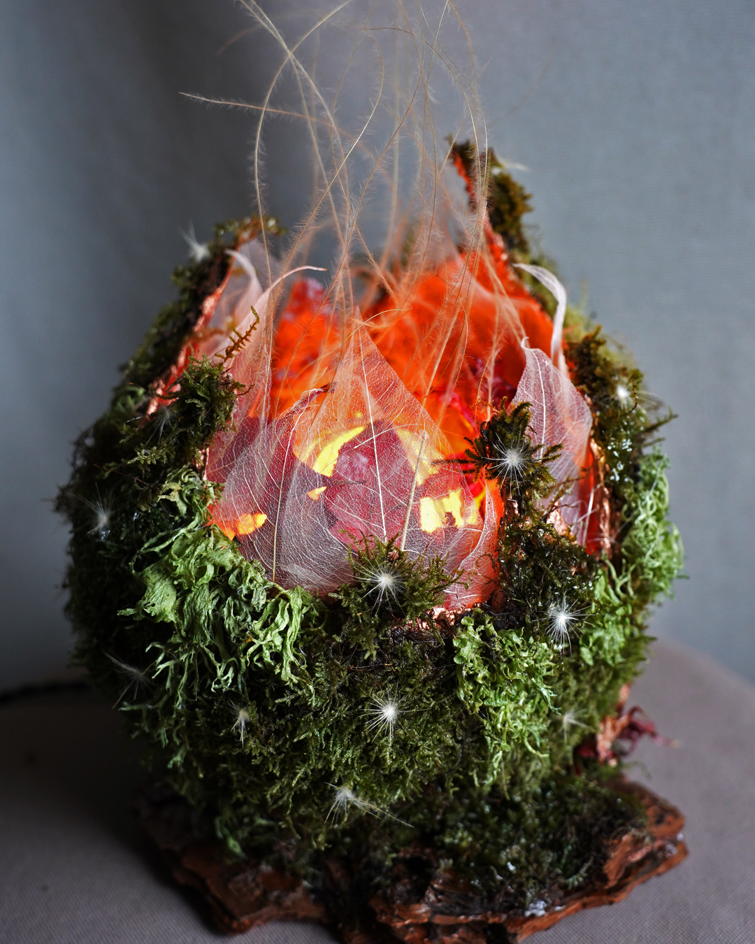 Handmade glowing floral decor “The Seed” with moss and amber light