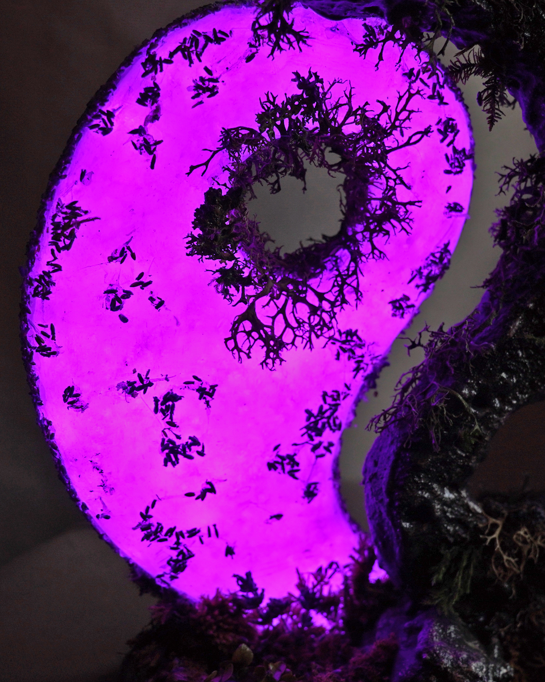 Balance Handmade Yin Yang Lighting Decor Amethyst