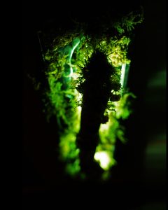 Vertical forest inspired wall art with soft LED glow