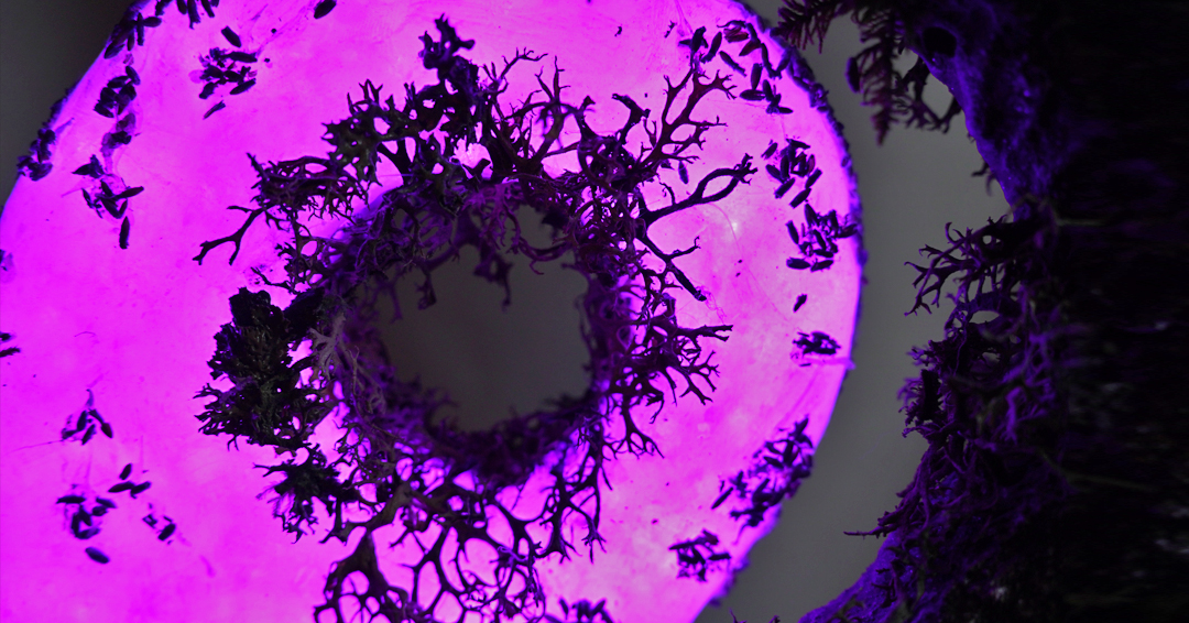 Balance Handmade Yin Yang Lighting Decor Amethyst