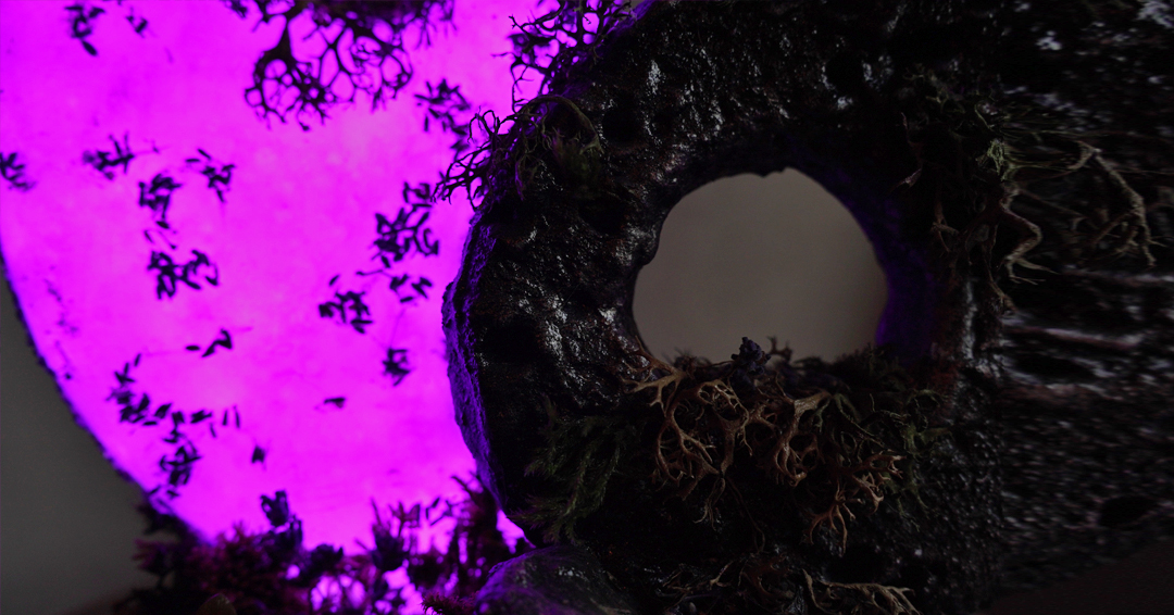 Textured moss and crystal detail in Balance lamp