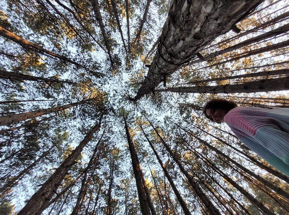 Mari Gakhokidze - Creator of Handmade Lamps and Decorations.