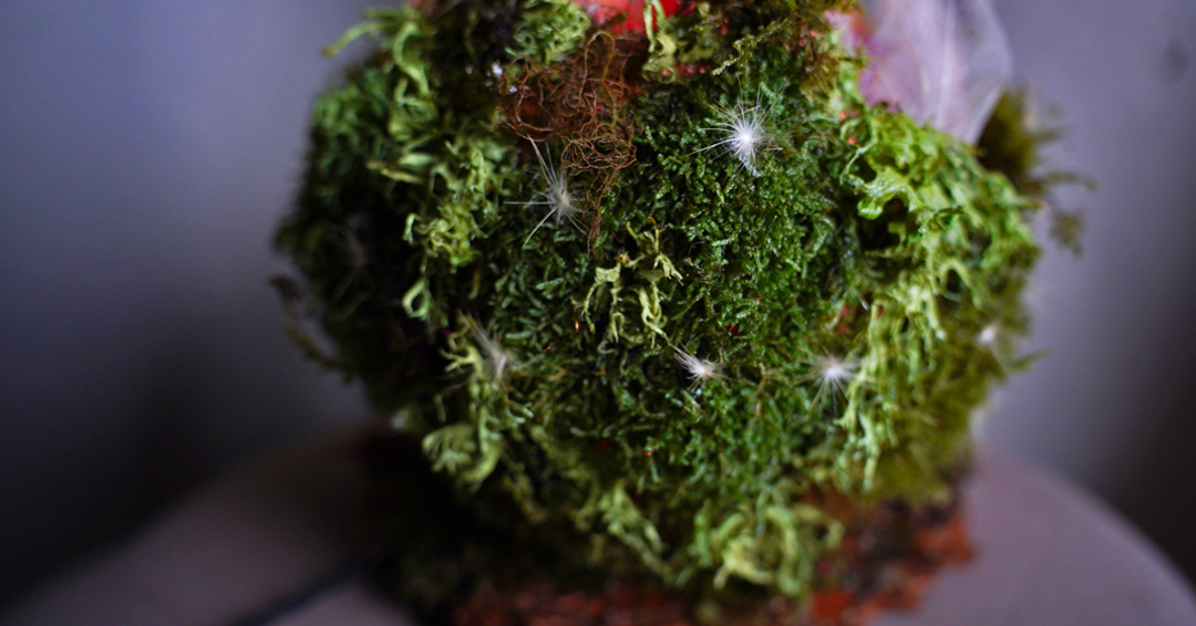 Close-up of handcrafted botanical lighting art