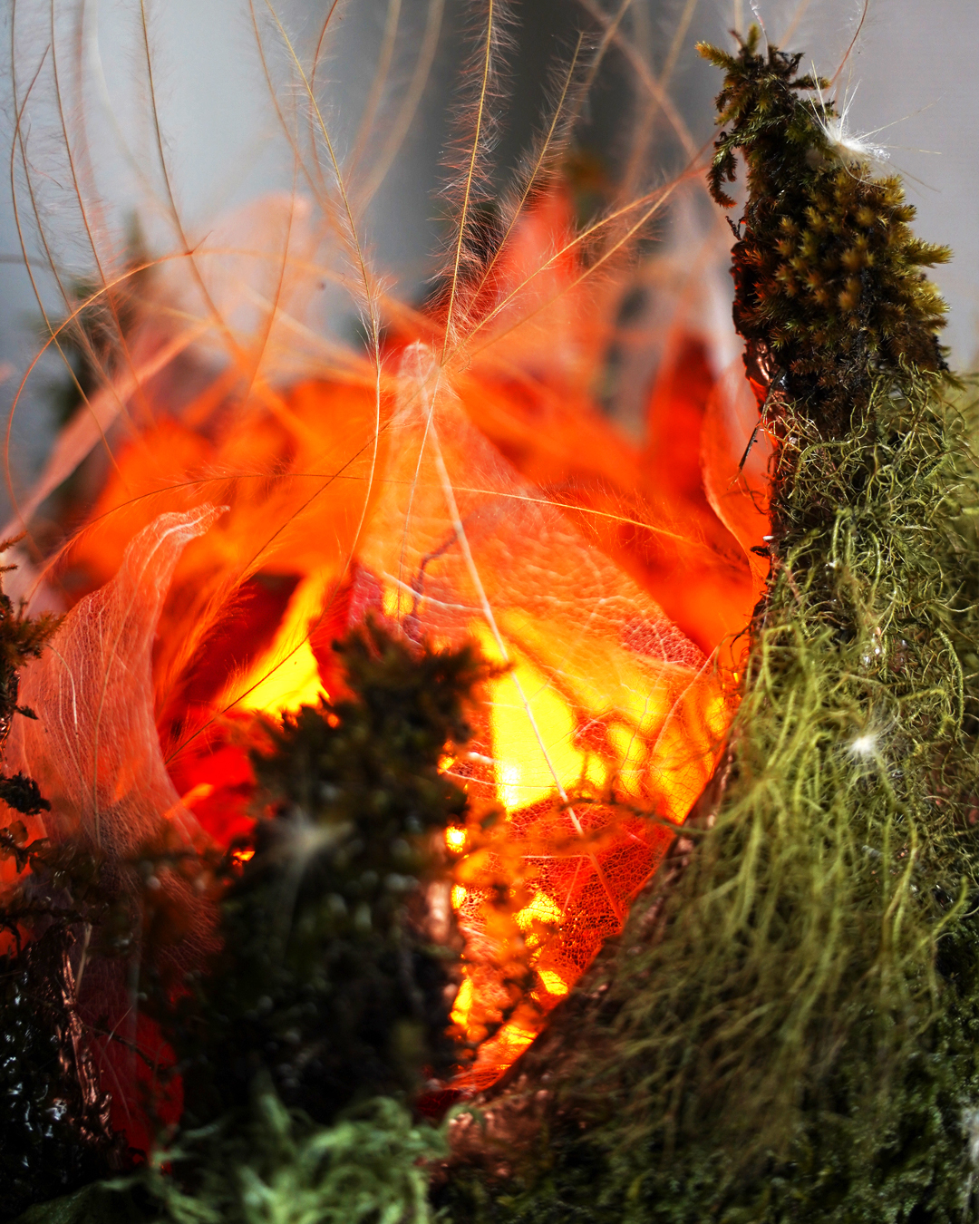 Warm amber LED glow inside moss floral sculpture