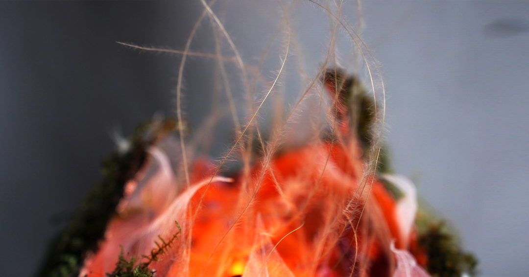 Illuminated floral sculpture with natural textures