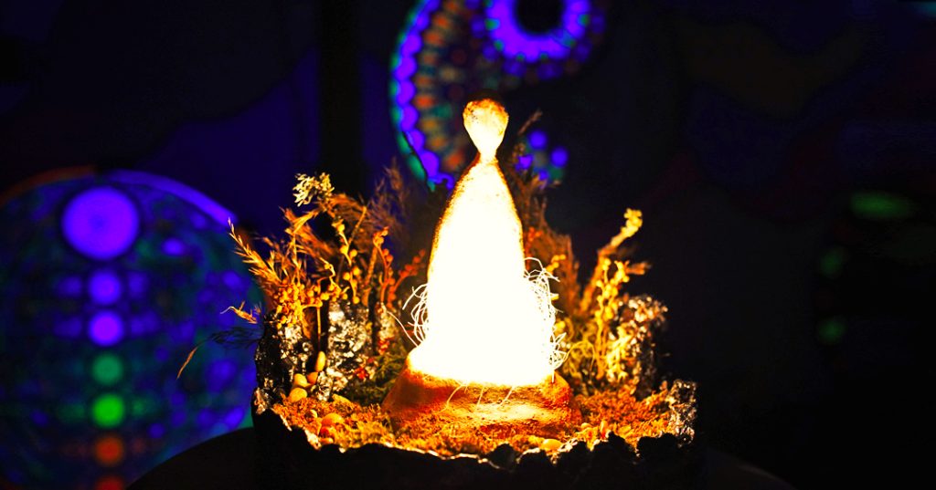 Zen inspired floral composition with soft ambient light