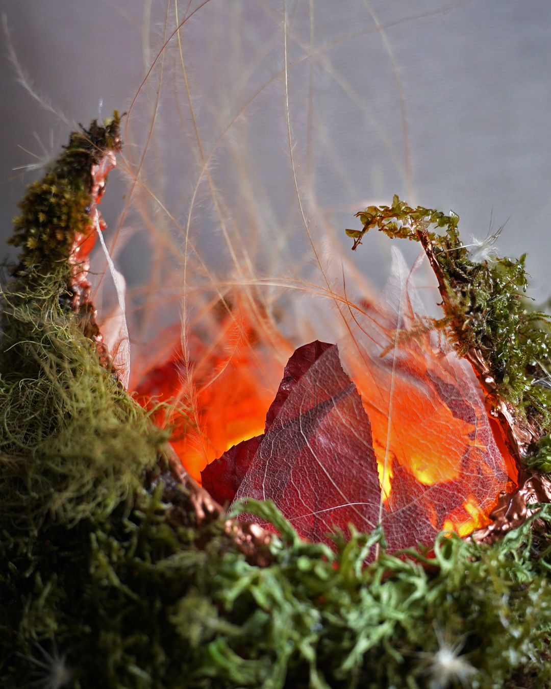 Glowing botanical art object with stabilized moss