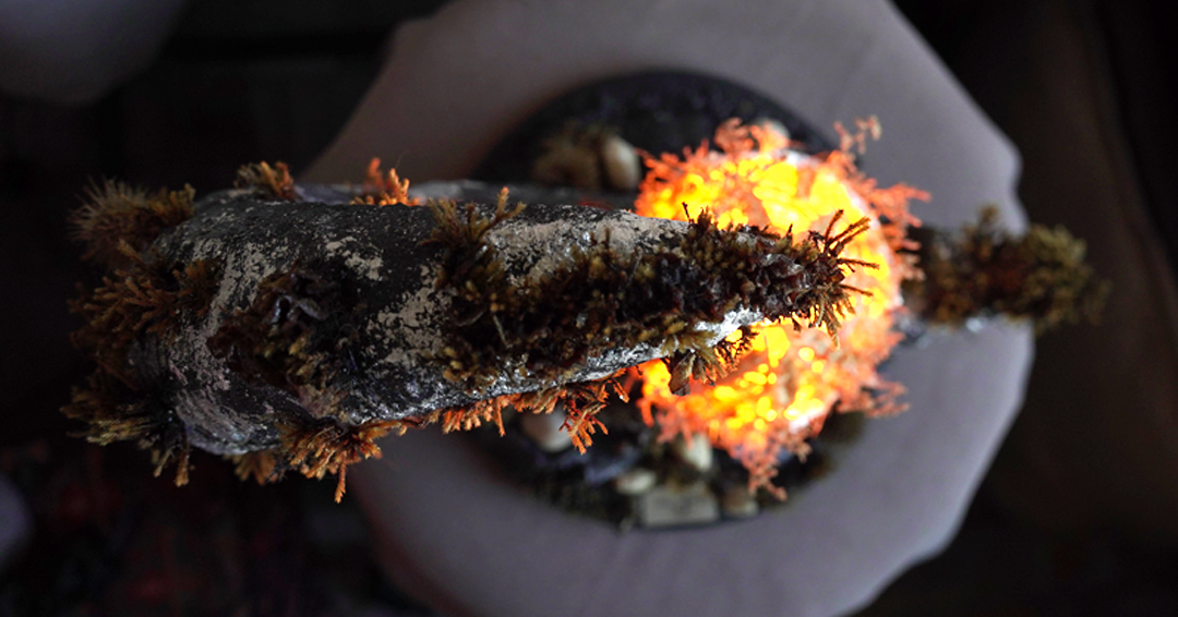 Stabilized moss and dried botanicals detail