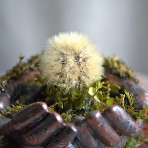 Handmade dandelion decor lighting “Hope”