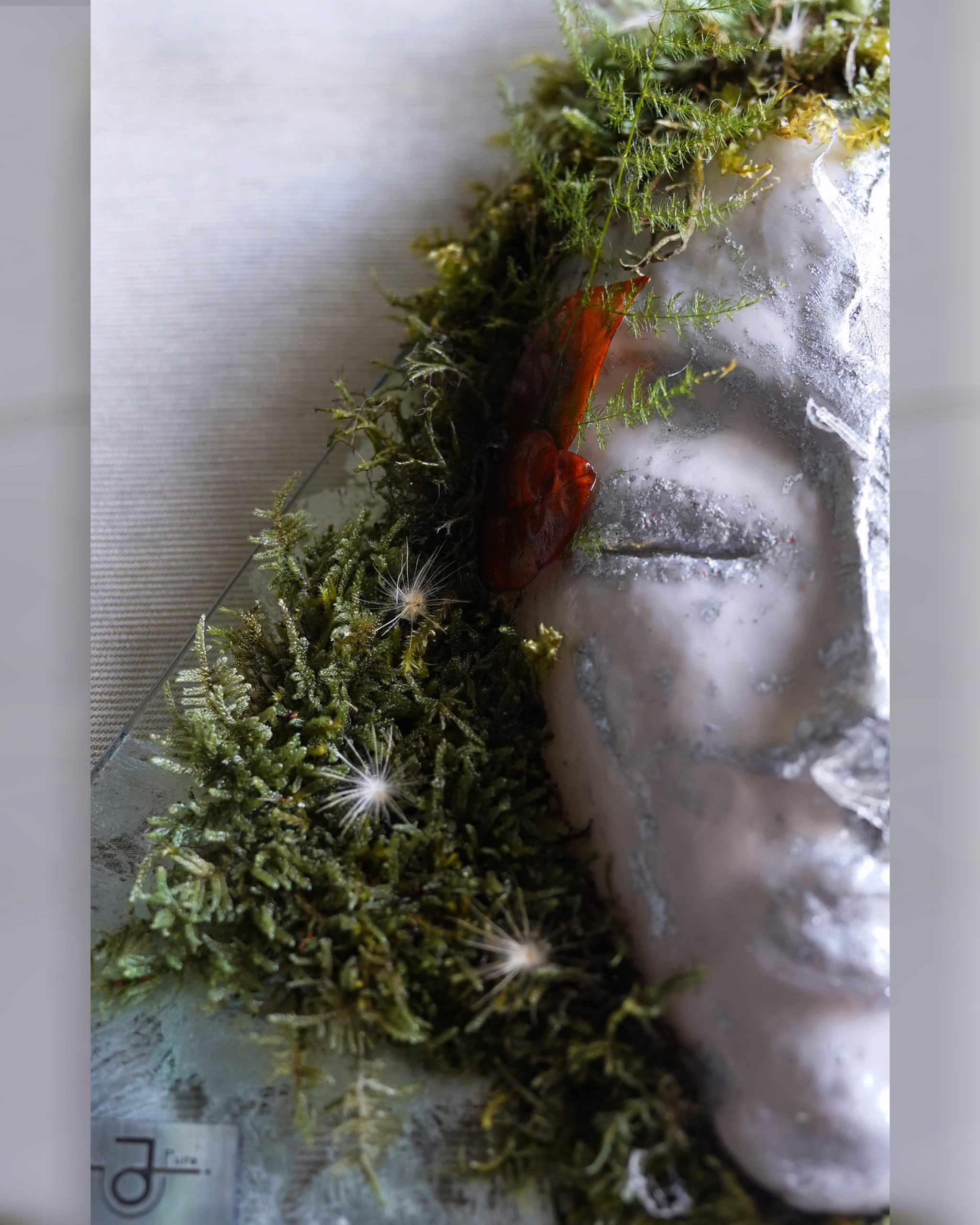 Nature-inspired Gemini zodiac wall art.