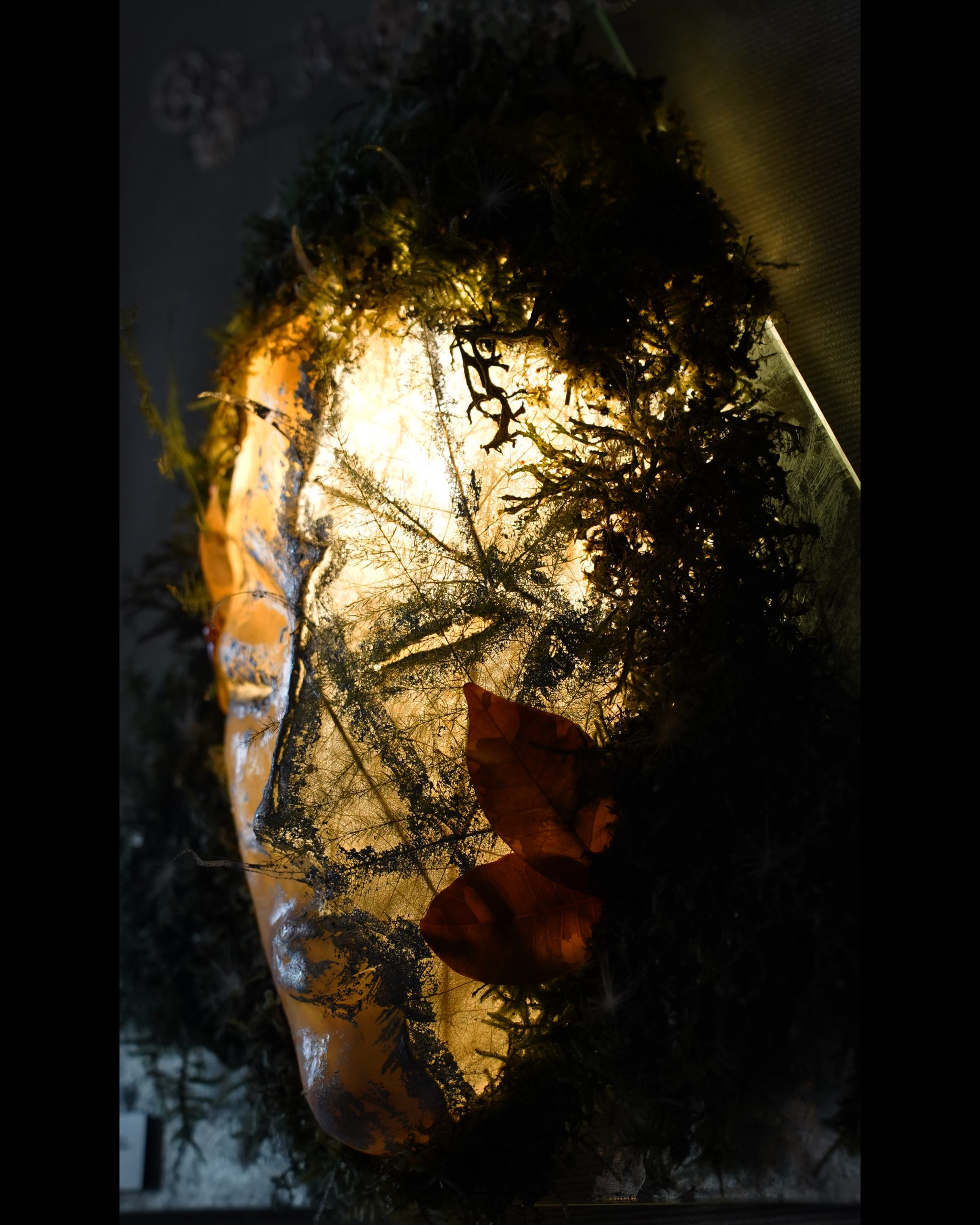 Illuminated Gemini sculpture with translucent botanical layers.