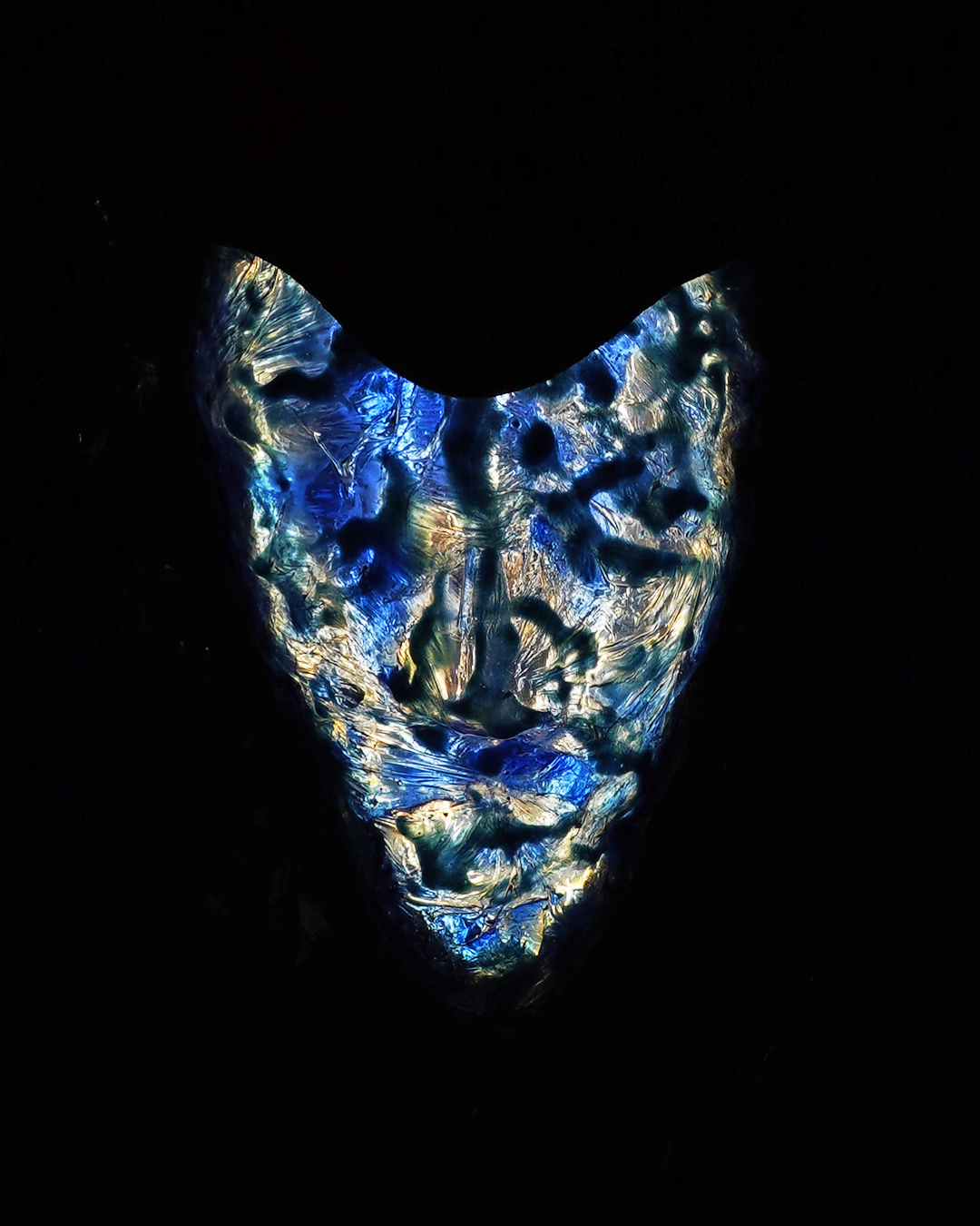 Cancer zodiac light